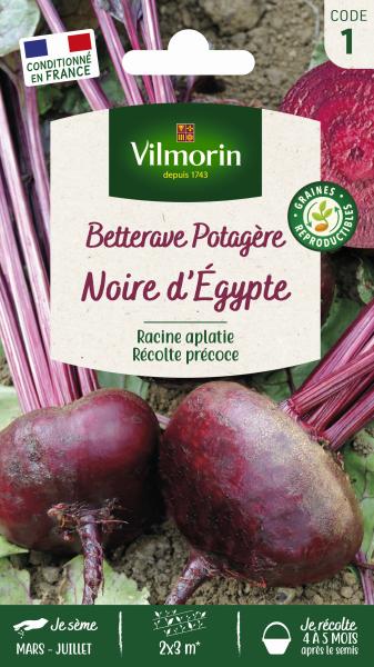 Potagères - Betterave Potagère Noire Plate d'Egypte - PACKAGING_RECTO